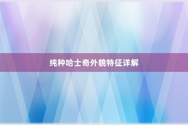 纯种哈士奇外貌特征详解